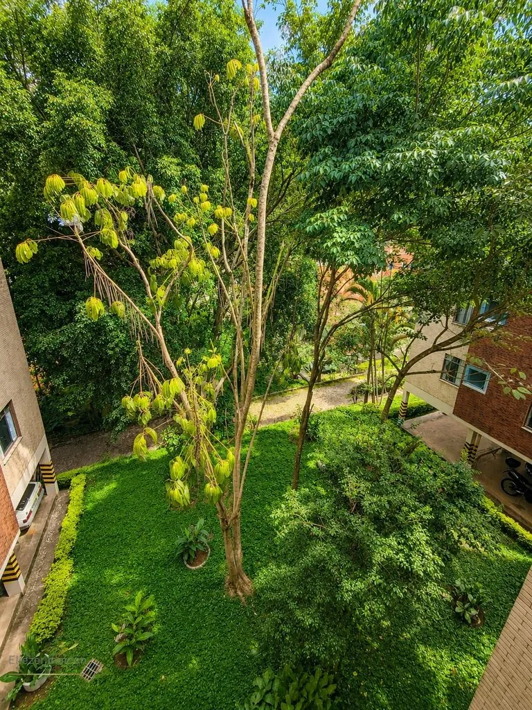 Imagem Apartamento a venda em condominio fechado bairro quissisana em Poços de Caldas