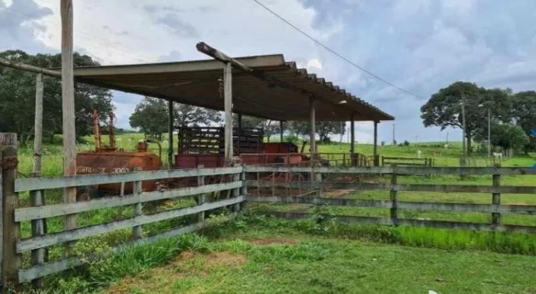 Imagem Fazenda a VENDA, 66 alqueires, Região Bauru
