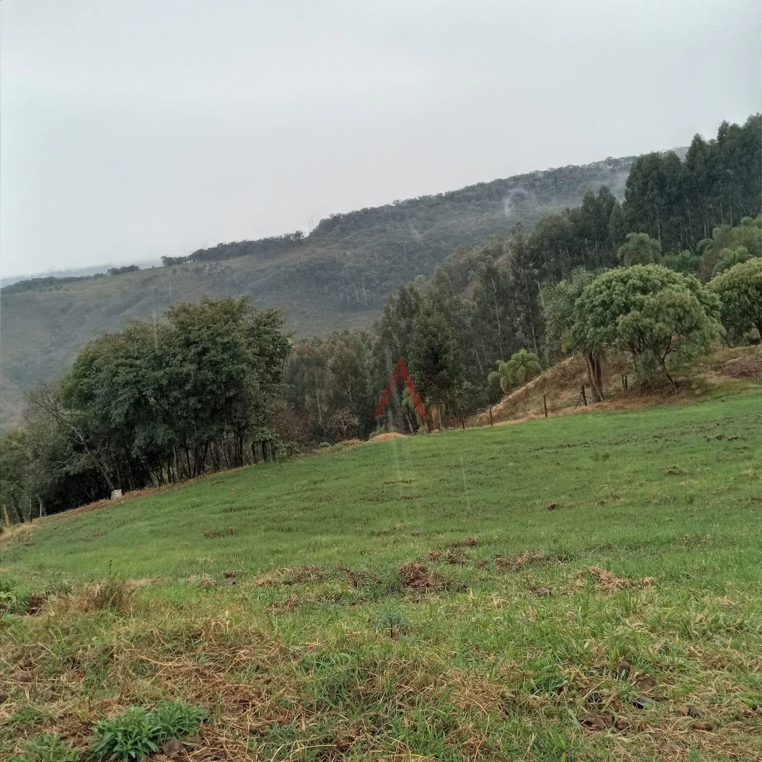 Imagem Chácara, JORDÃO, GUARAPUAVA - PR