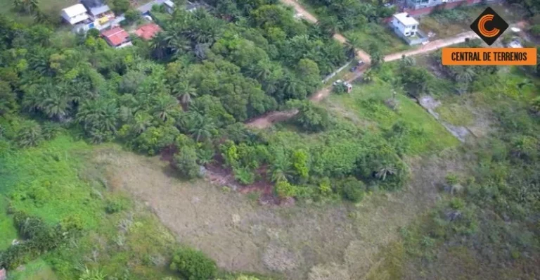 Imagem TERRENO EM ABRANTES