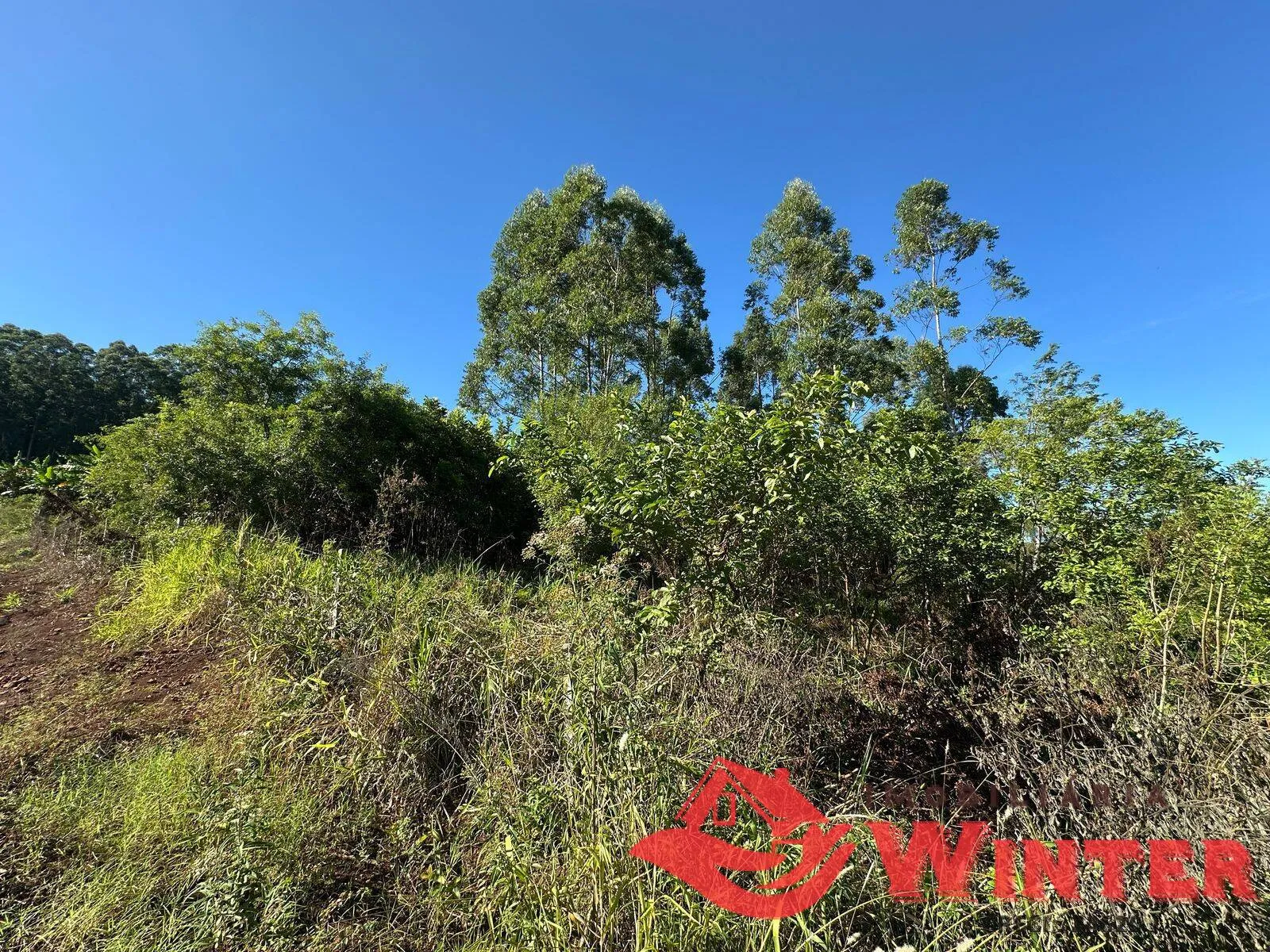 Imagem Área de terras com 3.000m² próprio para um chácara.