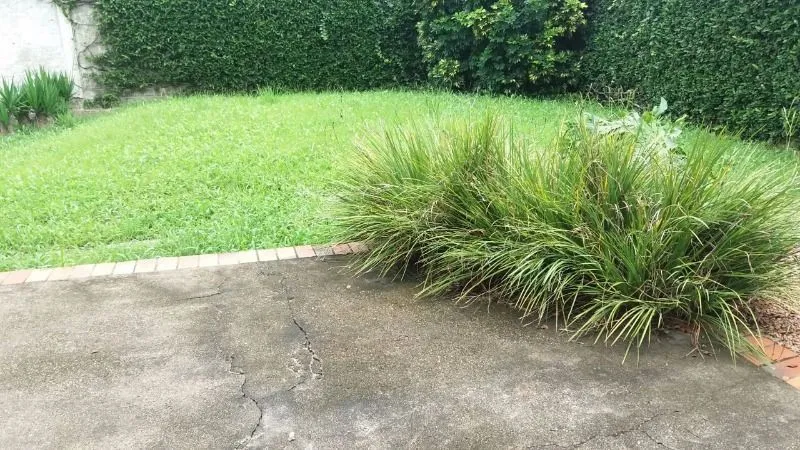 Imagem Casa para Venda - 239.2m², 3 dormitórios, 2 vagas - Recanto Do Sabiá