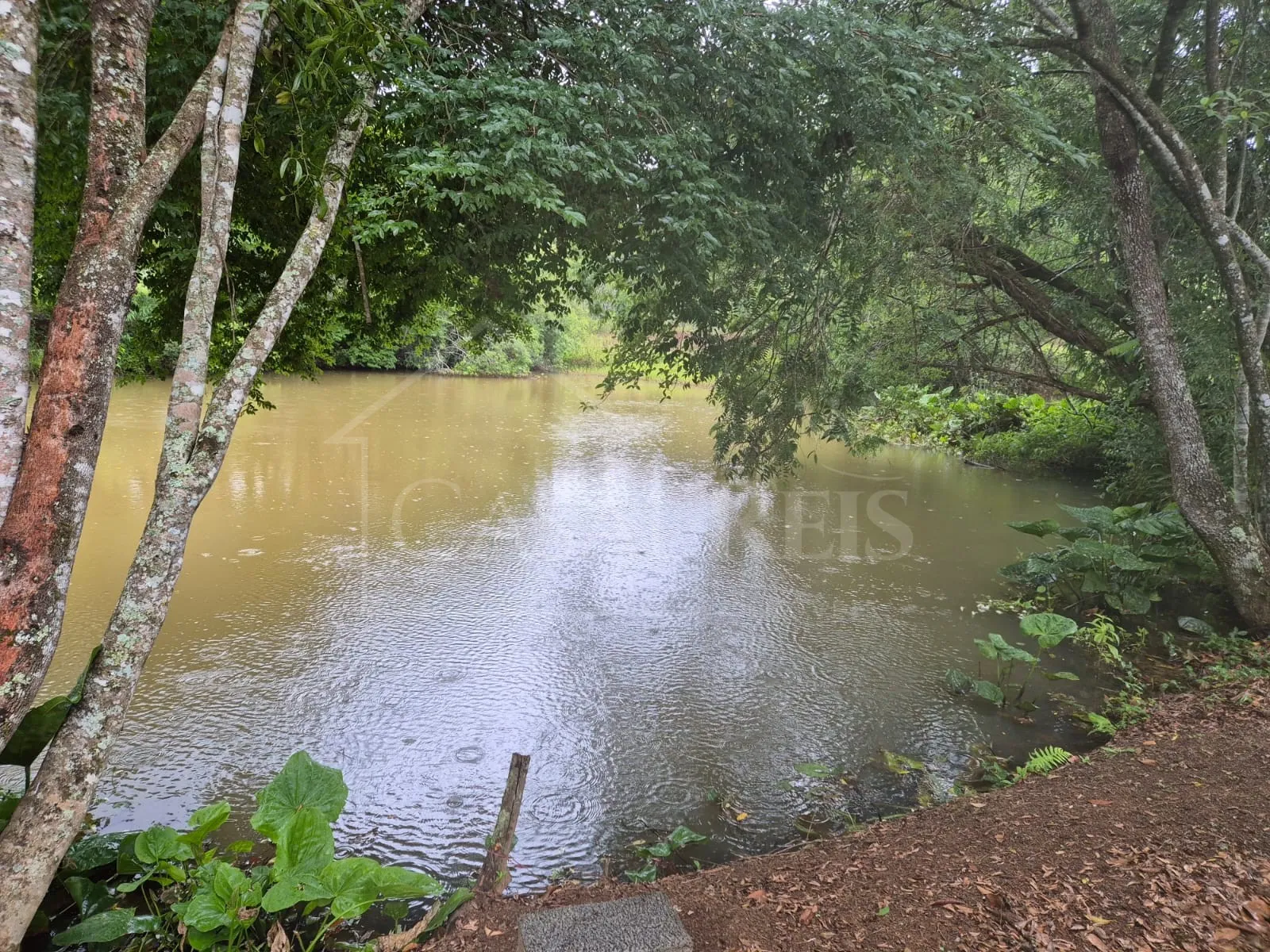 Imagem Chácara 2,4 ha à venda em Área Rural, Bandeira do Sul