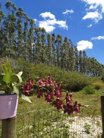 Imagem Casa para Venda em São Pedro da Aldeia / RJ no bairro São Mateus