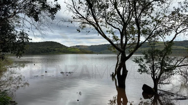 Imagem Sítio para Venda em Concórdia, Interior, 4 dormitórios, 1 banheiro, 2 vagas