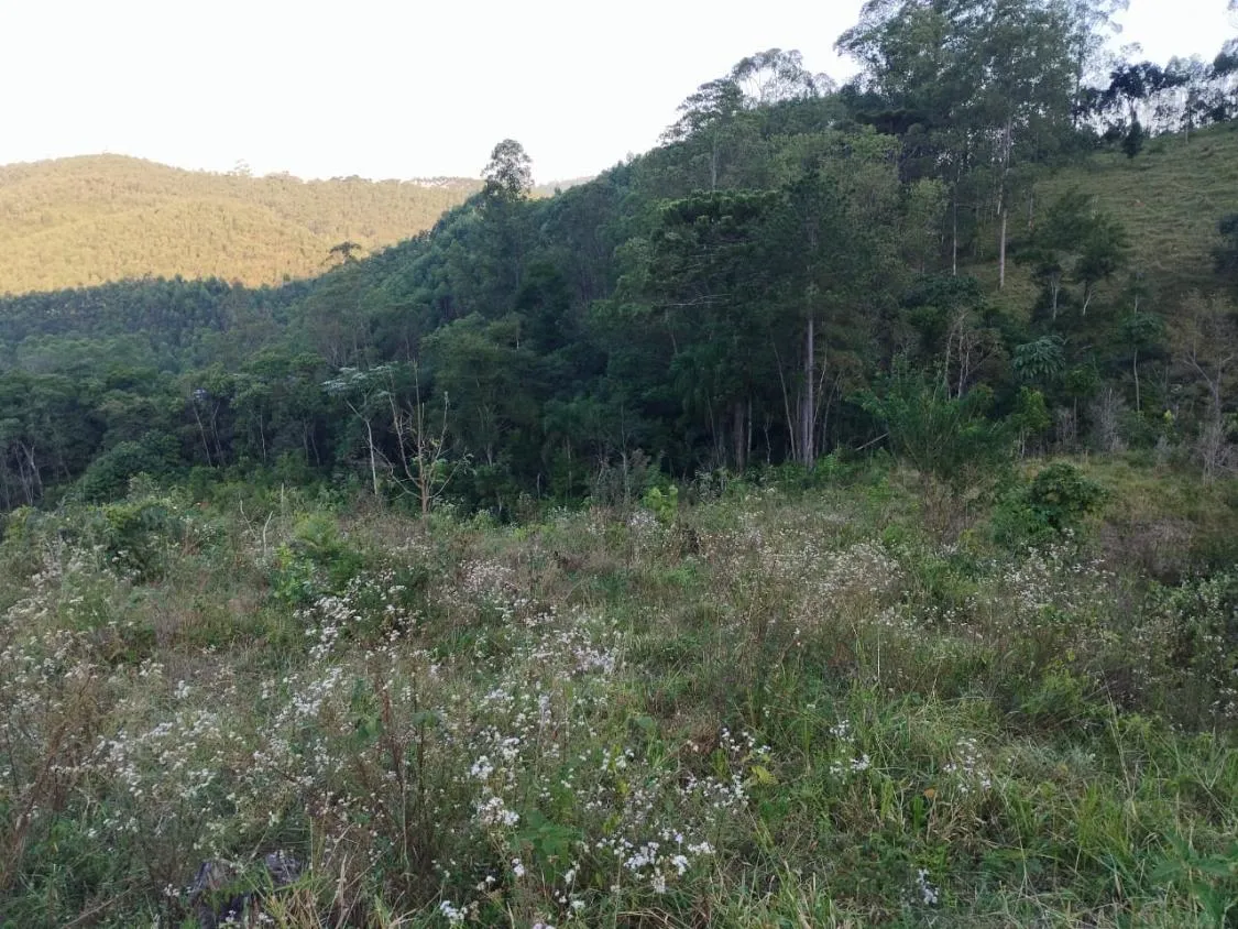 Foto do imóvel 4 Alqueires à Venda em Piracaia ? Ótima Localização!