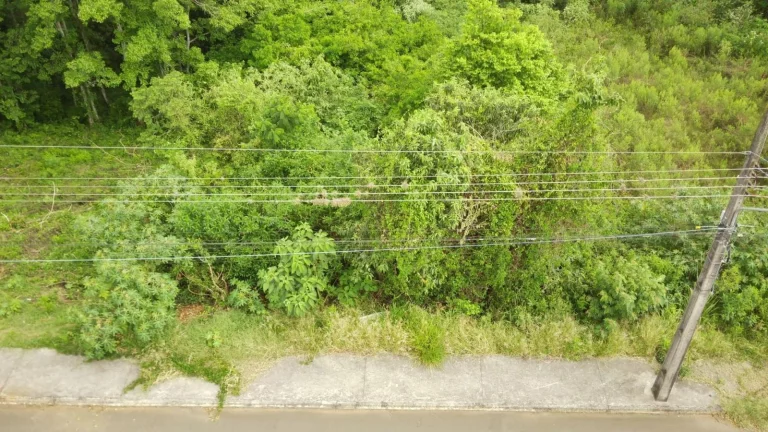 Imagem Terreno para Venda em Concórdia, Jardim