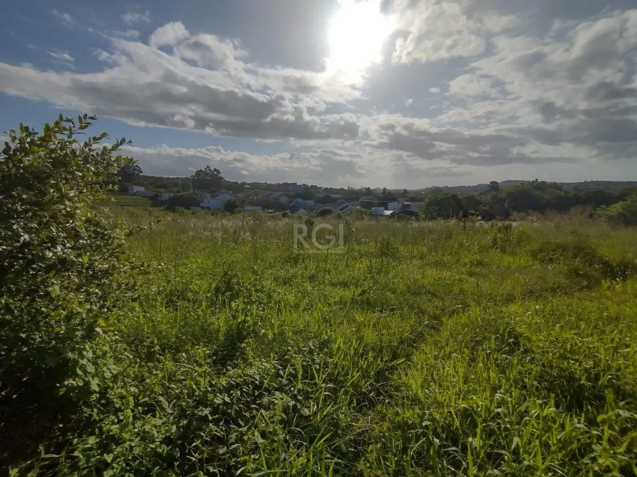 Imagem Área de terras no bairro Campo Novo