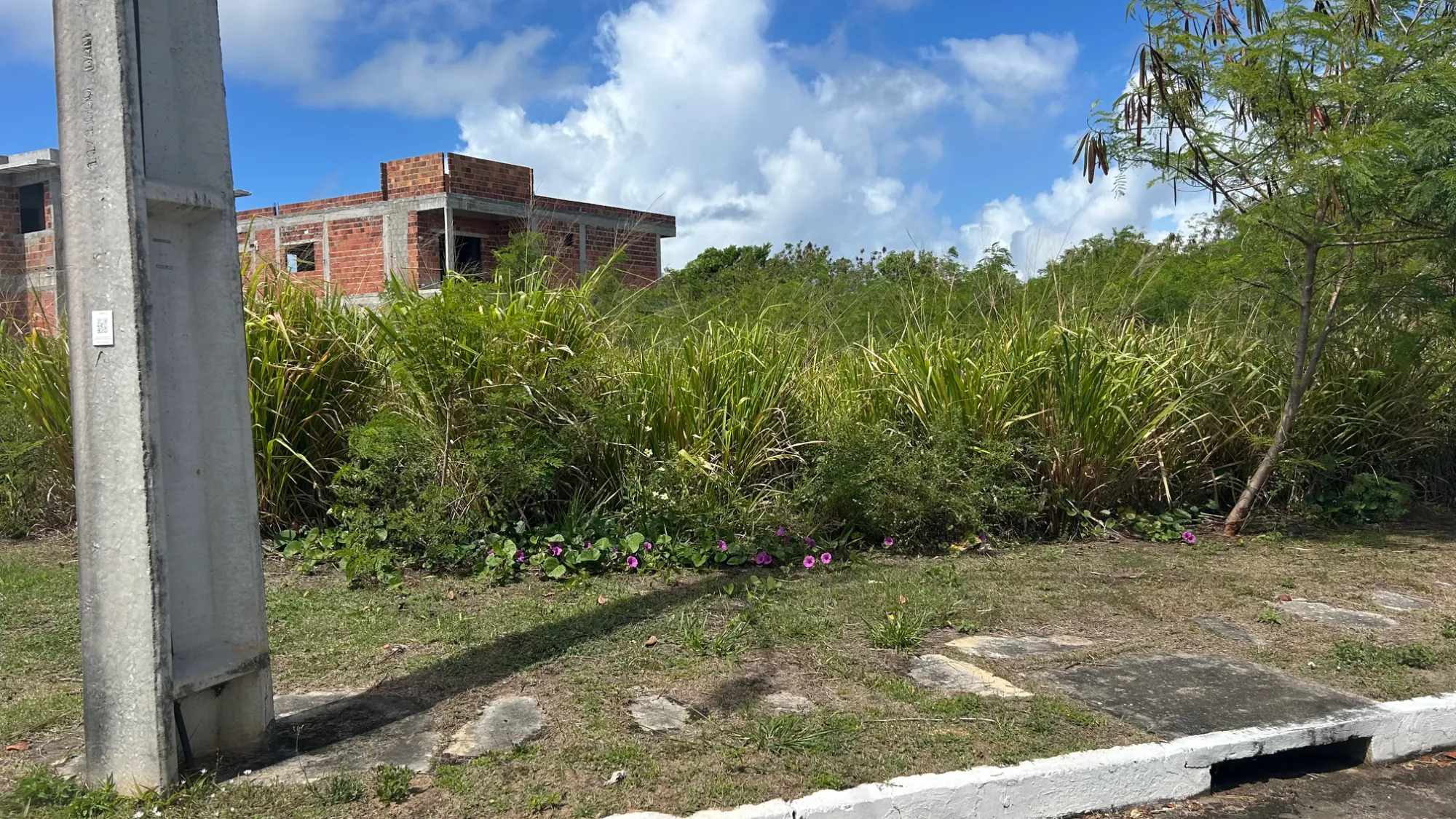 Imagem Terreno à Venda, 1.000 m² em Barra do Jacuípe - Camaçari