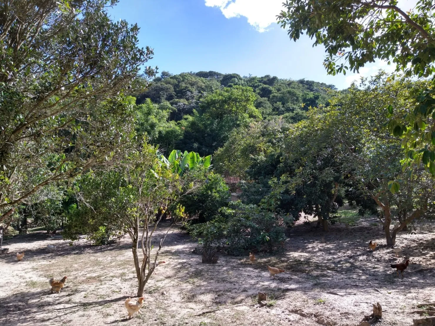 Imagem Chácara à venda 2 Quartos, 6 Vagas, 65000M², Sete Voltas, Taubaté - SP