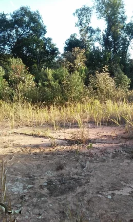 Imagem Área Rural Mairiporã lazer e moradia