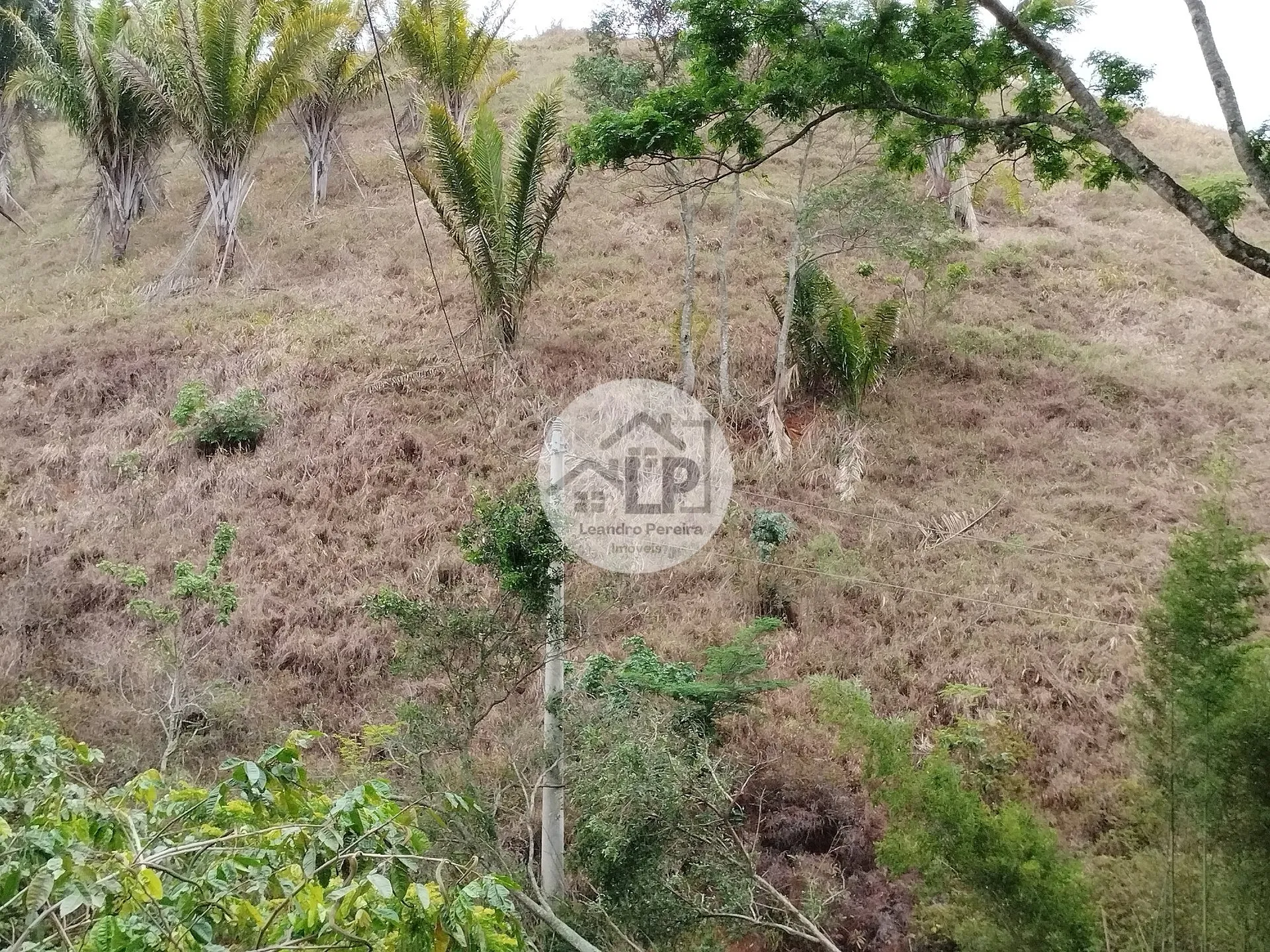Imagem Lote/Terreno de 1440m² no bairro Caiçara, em Piraí