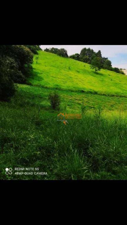 Imagem Terreno à venda, 19980 m² por R$ 2.000.000,00 - São Bento - Arujá/SP