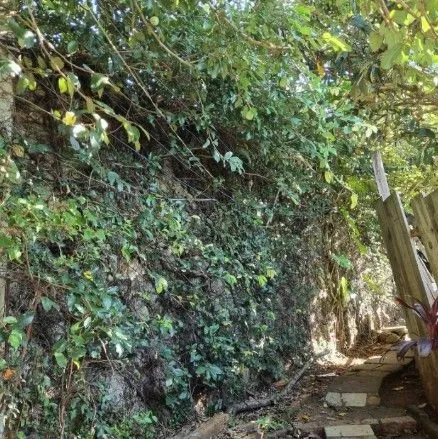 Imagem Terreno com 482 m² para venda no bairro Santa Tereza/Menino Deus em Porto Alegre/RS.