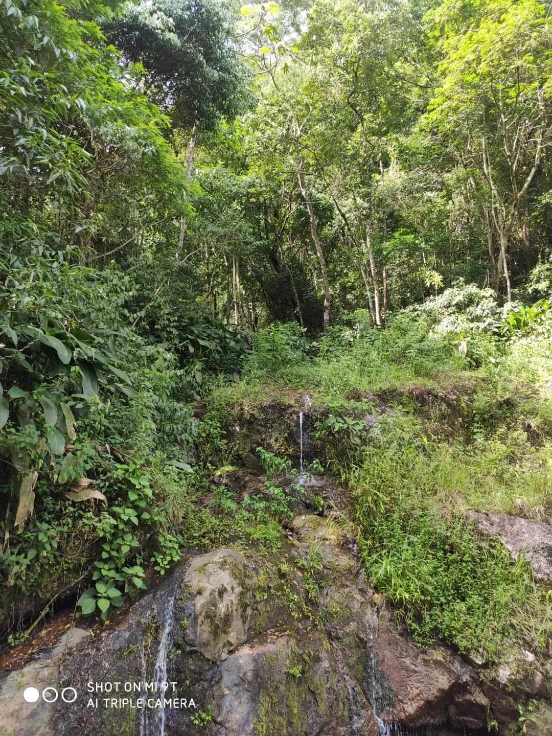 Foto do imóvel Chácara à venda 36245.2M², Vila dos Marins, Piquete - SP