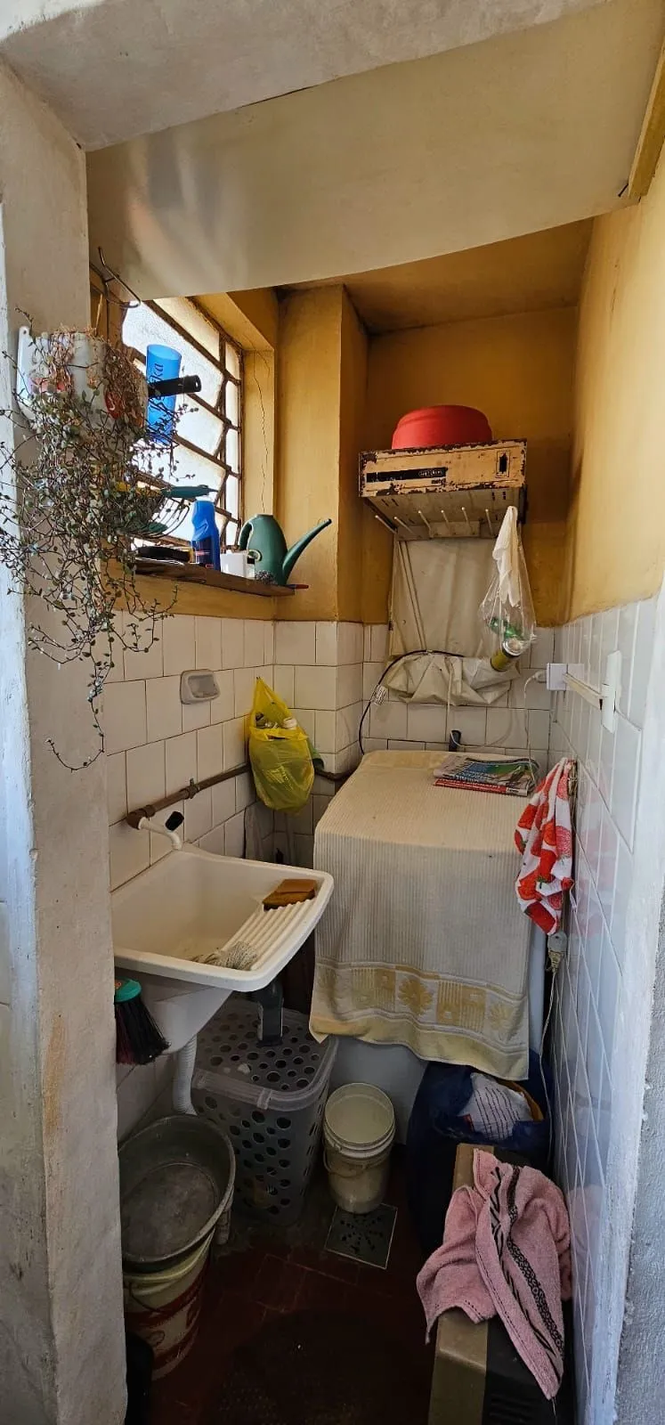 Imagem Apartamento 3 dormitórios Bairro Camaqua