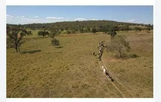 Imagem Fazenda Completa e Produtiva em Curvelo/MG 535 hectares