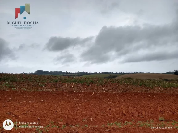 Imagem Fazenda Região de Itapetininga SP
