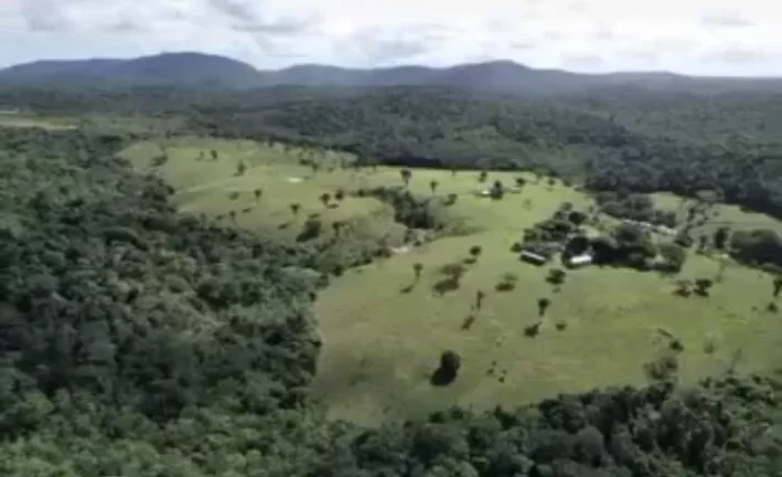 Foto do imóvel RESERVAS DO ESCONDIDO - MATA ATLÂNTICA