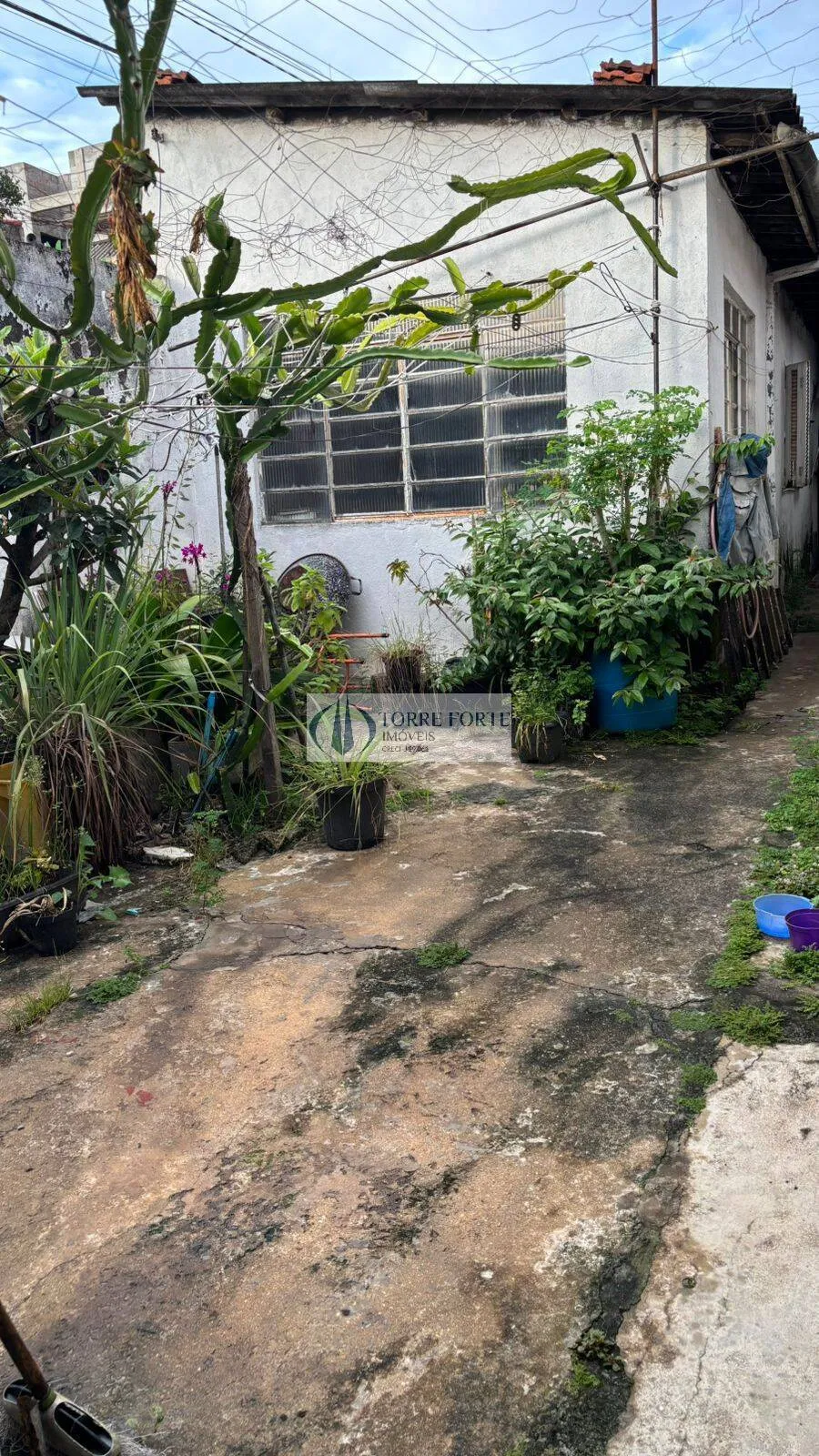 Imagem Terreno na Vila Antonieta Oportunidade
