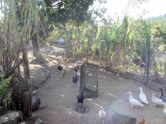 Imagem BELISSIMA CHACARA URBANA