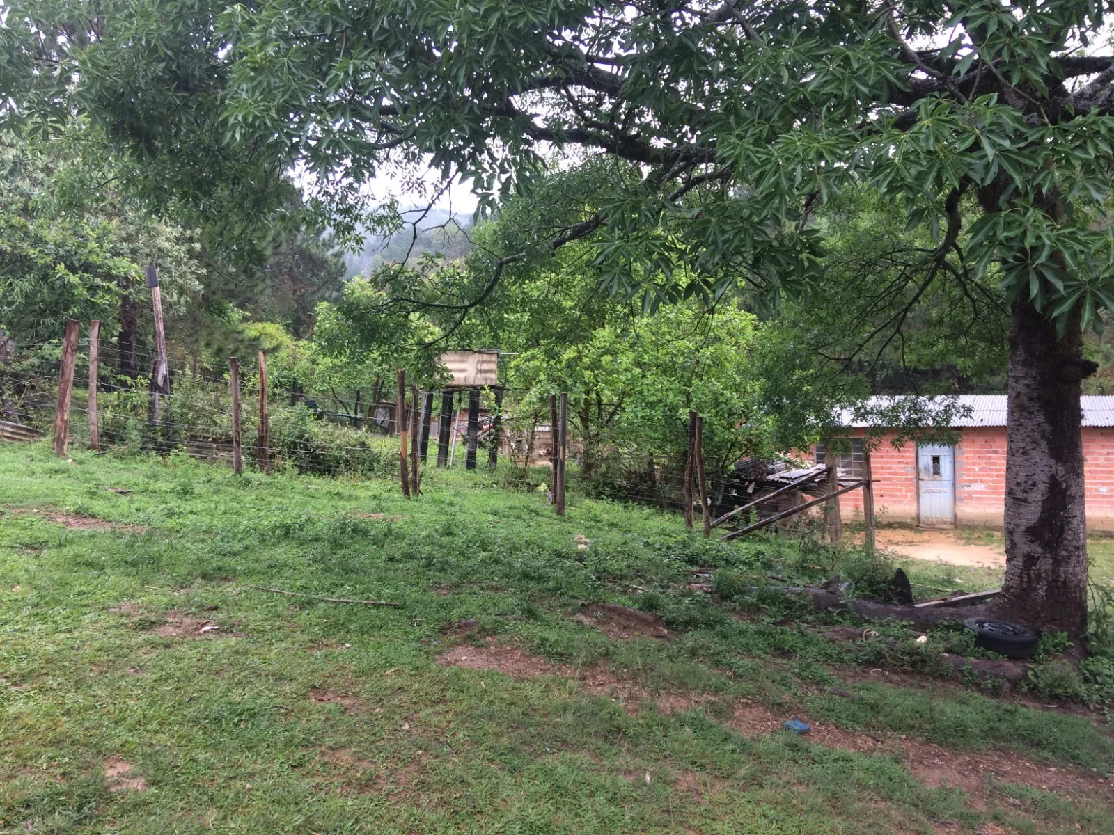Imagem Oportunidade: Sítio com Muito Verde e Água de Nascente