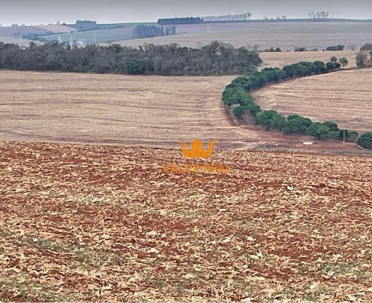 À Venda: Fazenda dos Sonhos em Santa Cruz do Rio Pardo - SP!