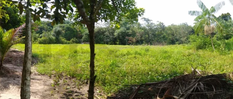 Imagem CASAL IMÓVEIS VENDE SÍTIO EM MARITUBA 53.000 M2 - ESTRADA URIBOCA - BR 316 - ALÇA VIÁRIA