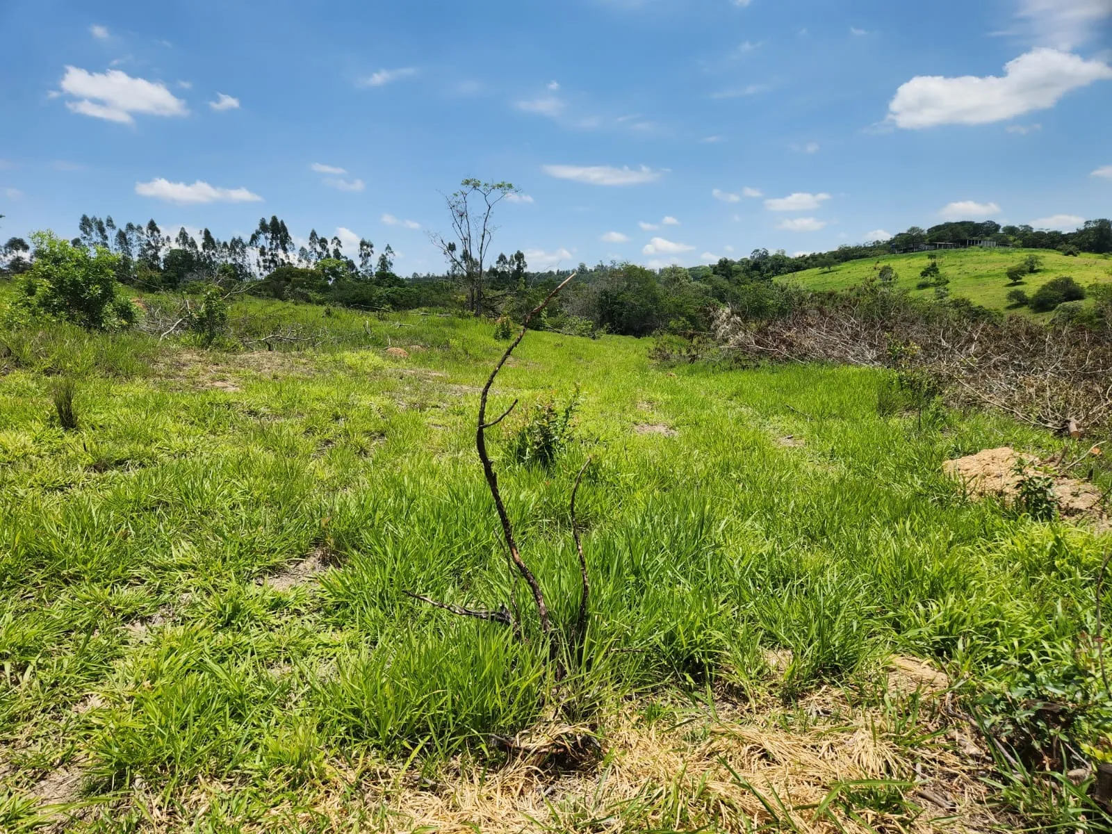 Imagem Terreno em loteamento em Araçoiaba