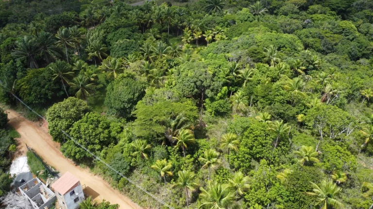 Imagem Excelente terreno em Itacaré cerca de 2 km do centro da cidade com linda vista para formosa peníns...