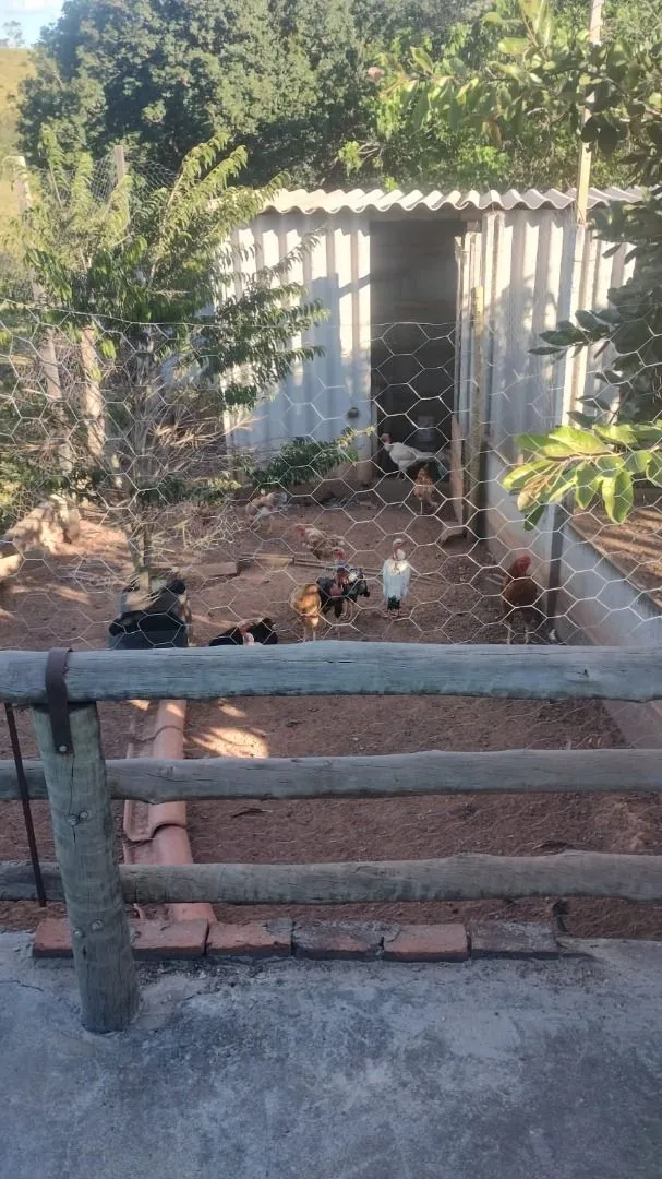 Imagem Terreno à venda, 480 m² por R$ 150.000,00 - Área Rural de Patos de Minas - Patos de Minas/MG