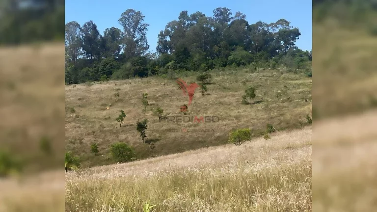 Imagem Área Para Exploração de Quartzo