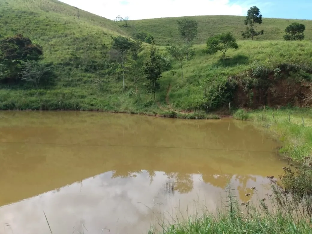 Imagem Chácara à venda 2 Quartos, 135000M², Zona Rural, Piquete - SP