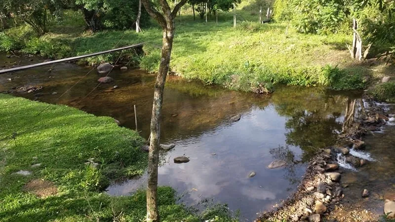 Imagem Chácara à venda 3 Quartos, 4 Vagas, 10000M², Ribeirão Grande, Pindamonhangaba - SP