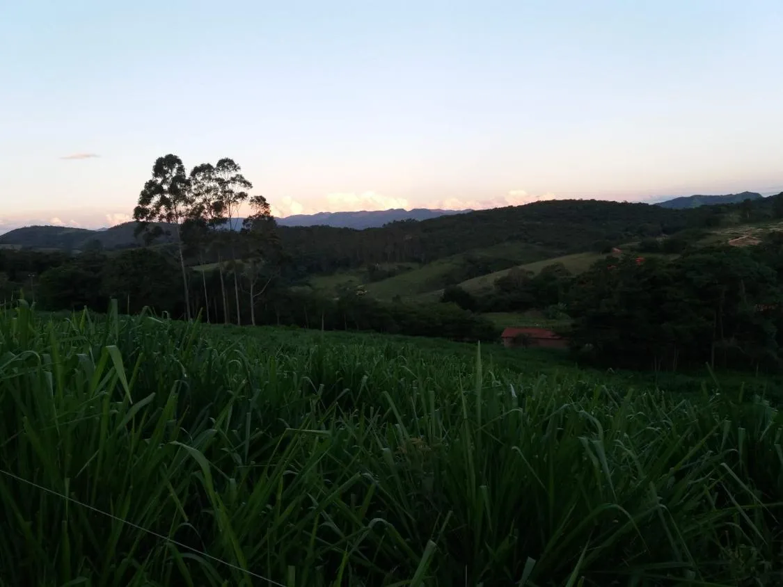 Imagem FAZENDA À VENDA - JECEABA (MG) 25 hectares de terra
