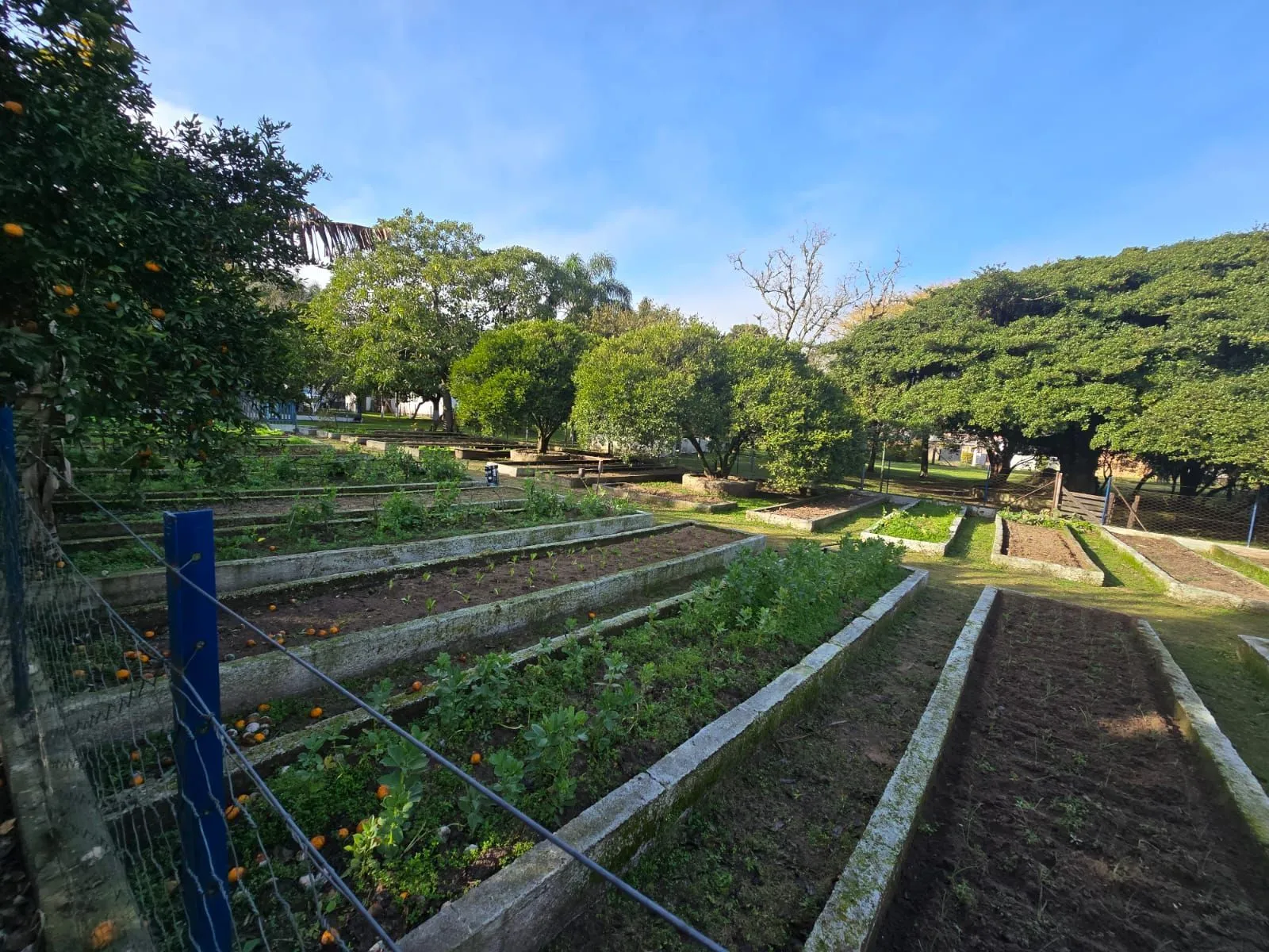 Imagem Sitio na Restinga com 2 casas e ótima oportunidade para investimento