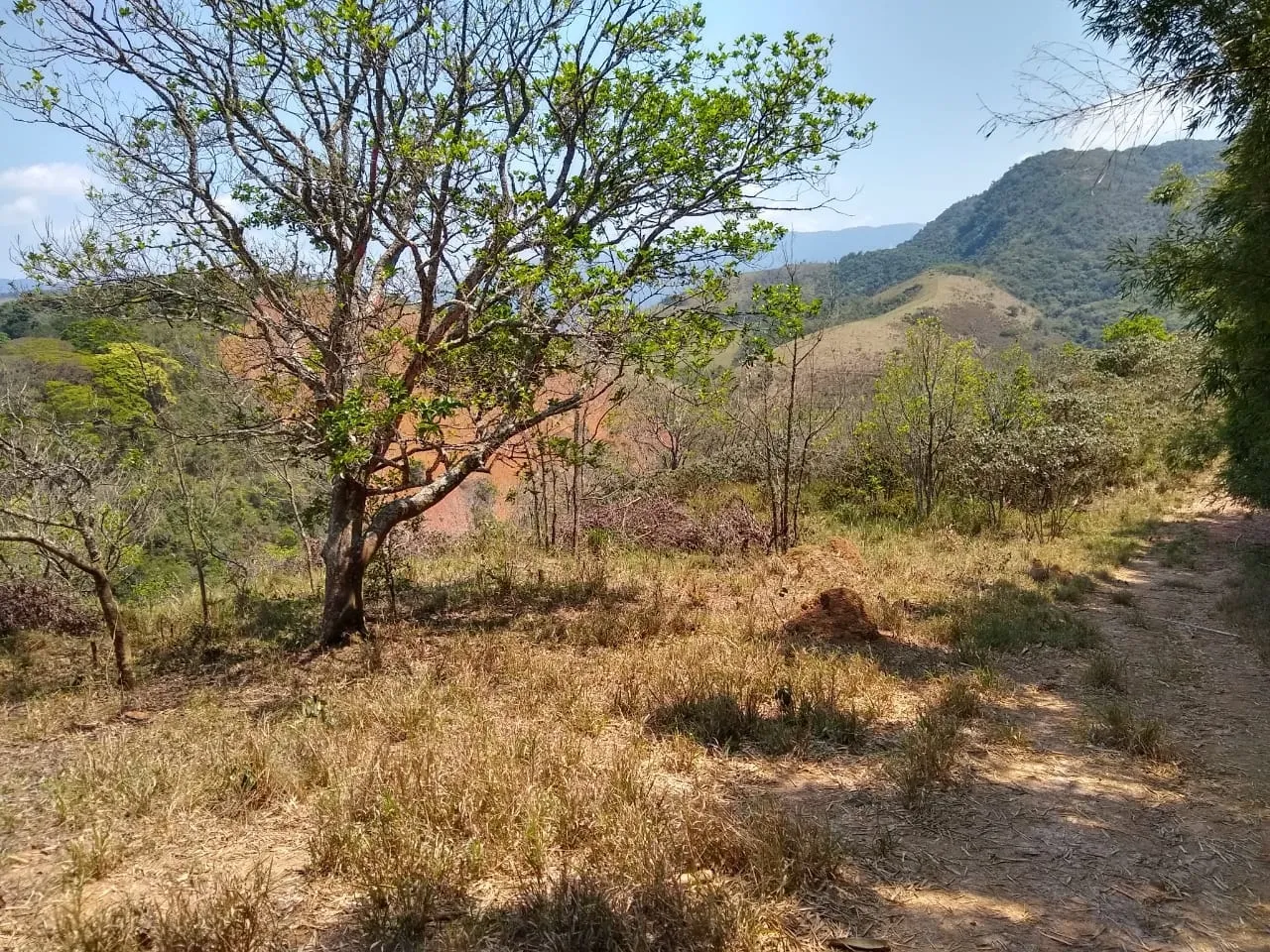 Imagem Chácara à venda 25000M², Mandú, Pindamonhangaba - SP