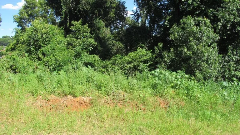 Imagem Terreno para Venda em Concórdia, Jardim