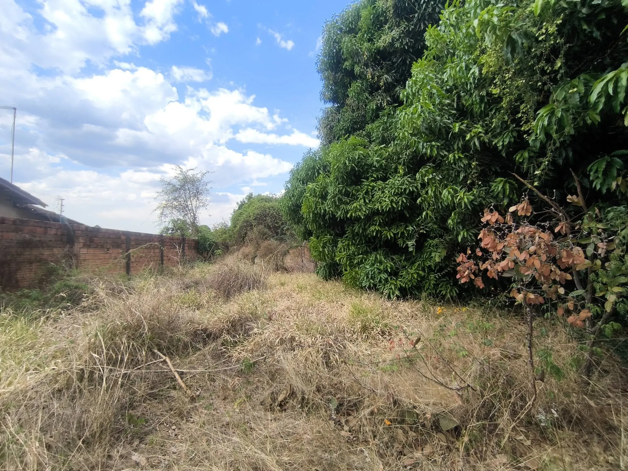 Imagem Lote No Bairro Cardoso Oportunidade