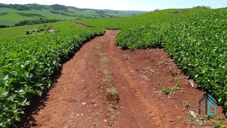 Imagem Fazenda com 57 alqueires (plantando 46) Solo roxo alta fertilidade, Engenheiro Beltrão PR