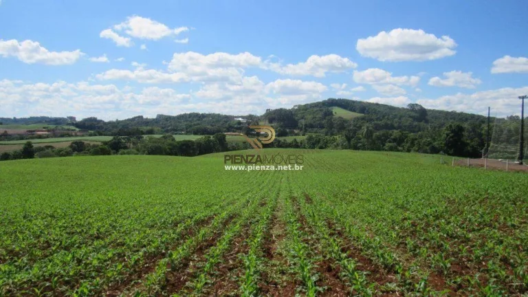 Imagem Área para Loteamento para Venda em Concórdia, São Cristóvão