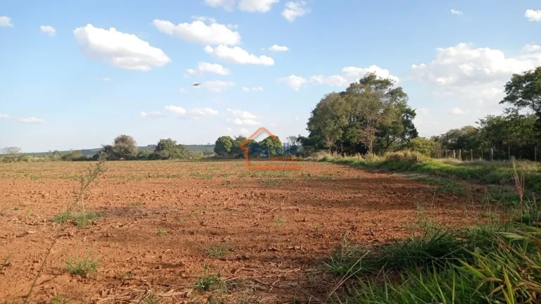 Imagem Sítio à venda no bairro Martim Francisco - Mogi Mirim/SP