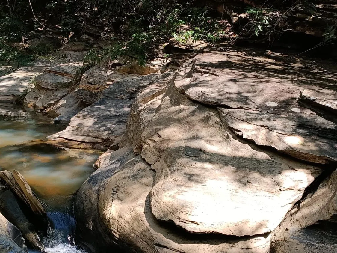 Imagem FAZENDA À VENDA EM SANTANA DO PIRAPAMA ? MG , com 338 hectares de terra