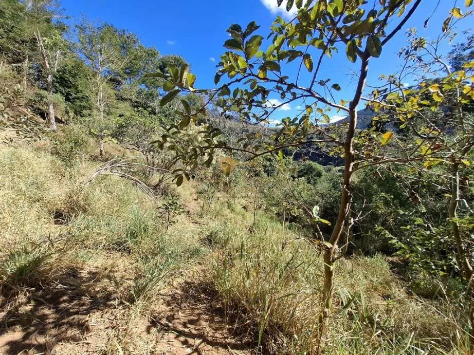 Imagem Casa para Venda em Teresópolis / RJ no bairro Jardim Salaco