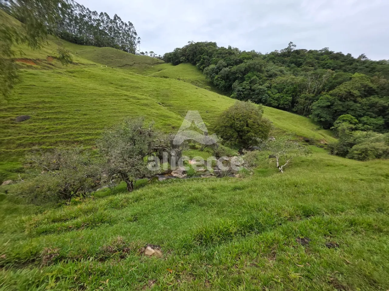 Imagem Sítio à venda em Antônio Carlos, SC, na Zona Rural - Morro da Gloria.