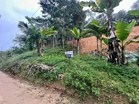 Imagem Terreno rural com 30.142,92m² em Massaranduba/SC