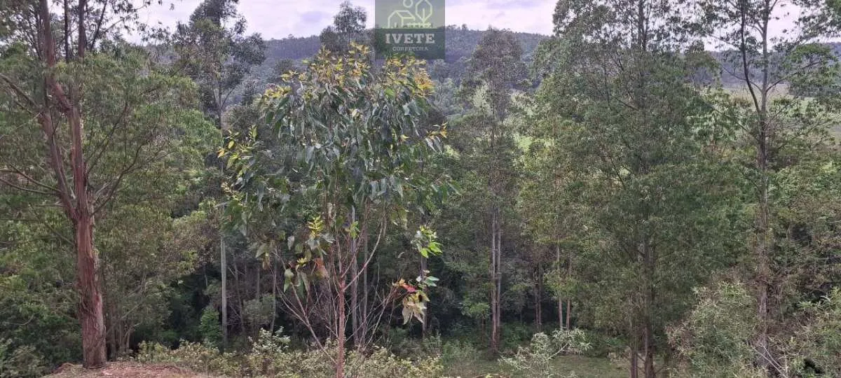 Imagem Ampla Área à Venda no Bairro da Lagoa - Socorro/SP