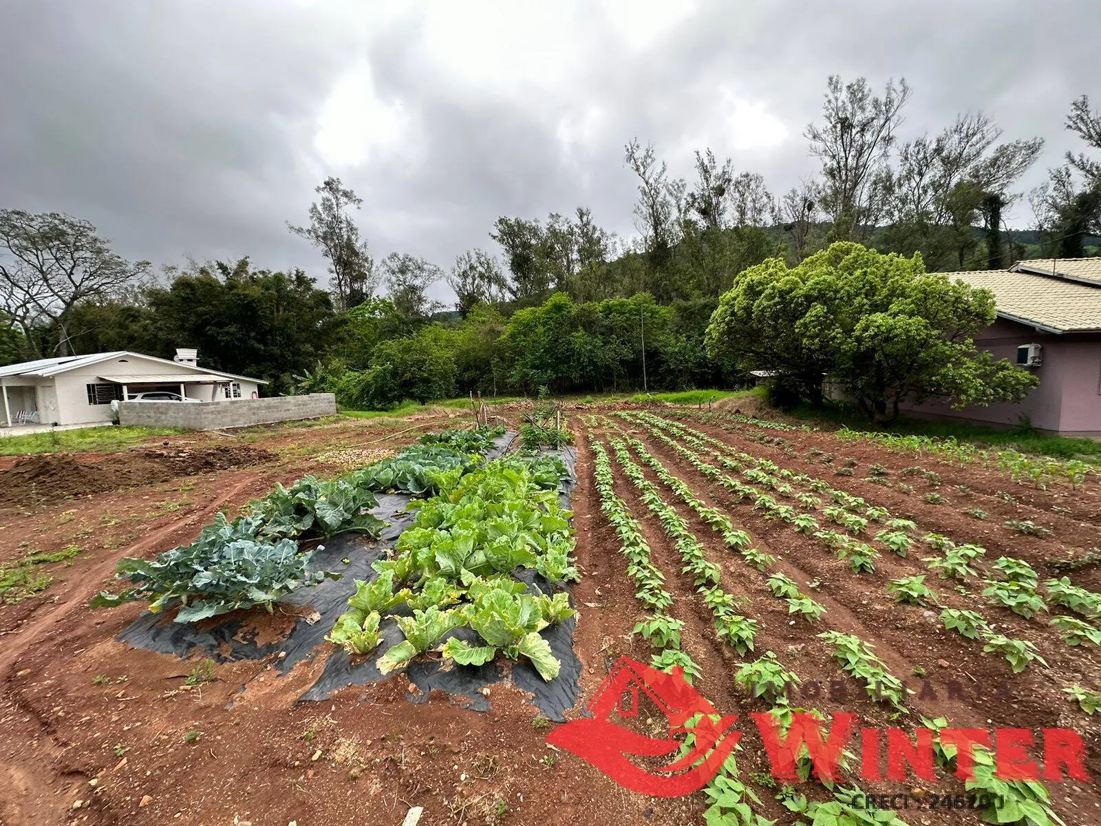 Imagem Amplo terreno com 833,33m² em São Roque, Feliz.