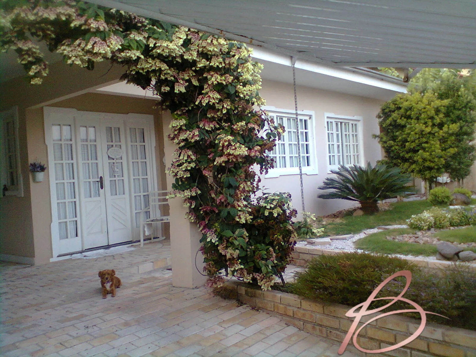 Imagem Casa à venda no bairro Dom Bosco - Itajaí/SC