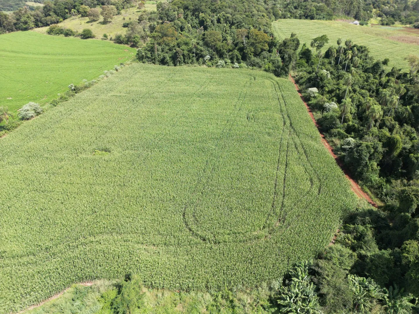 Imagem Chacara a venda em Rio do Salto Cascavel